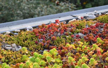 the cost of Hameringham green roof installation