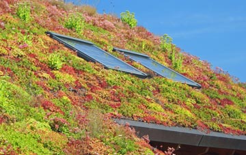 Hameringham living roof systems